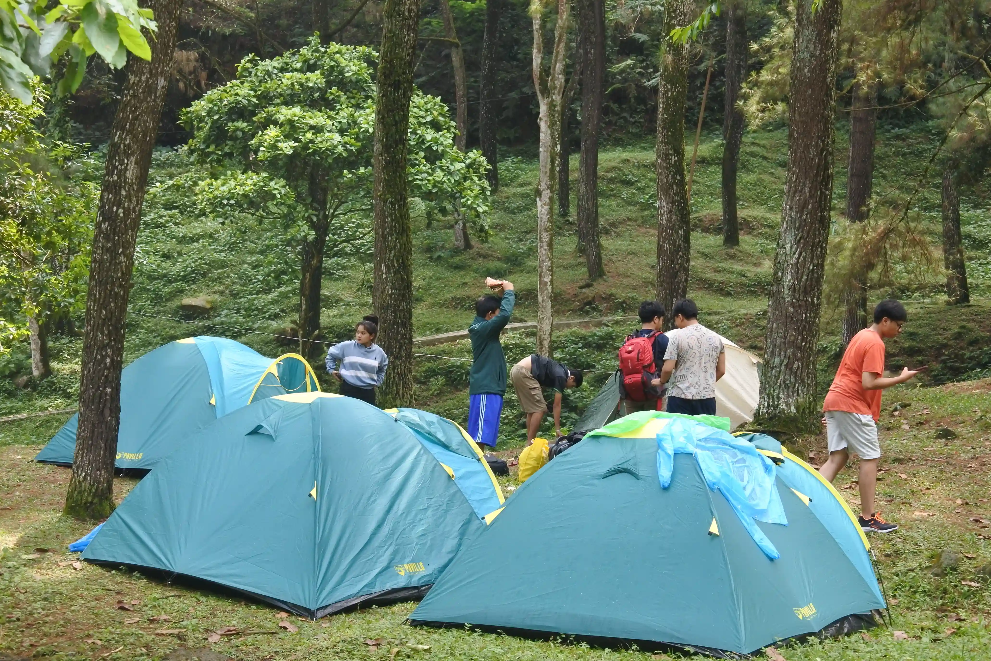 Outdoor Activity